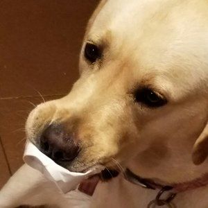 Meet your Posher, Cheryl